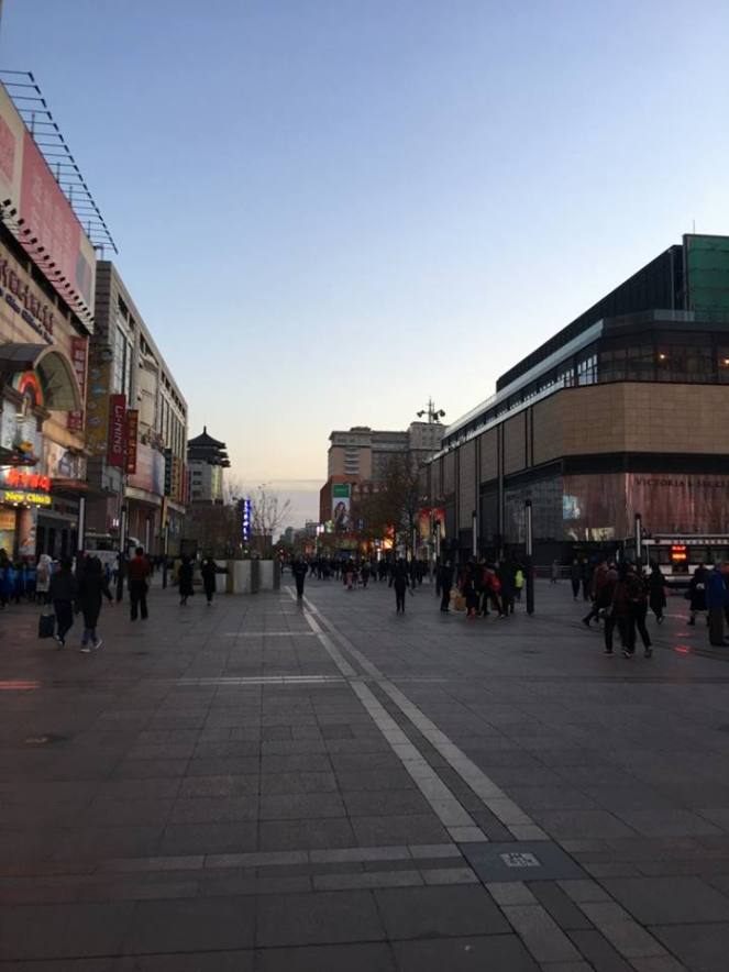 23755428_10154950580732617_5070636144350495064_n